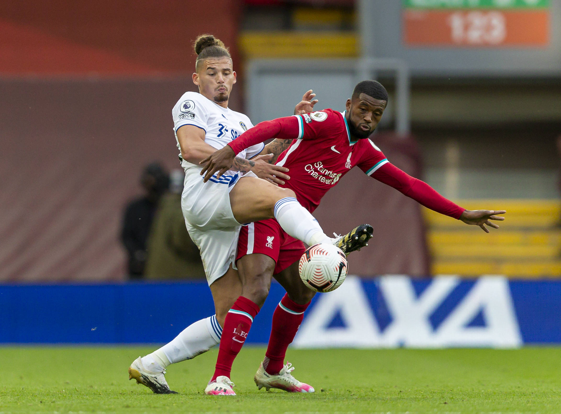 的寒冷气候 的寒冷气候